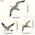 3PCS Wooden Seagull Wall Decorations Nautical Coast